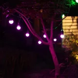 3W RGBW Low Voltage String Lights