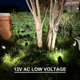3W Low Voltage Spotlight — 8PK